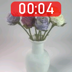 Live view with the recording timer