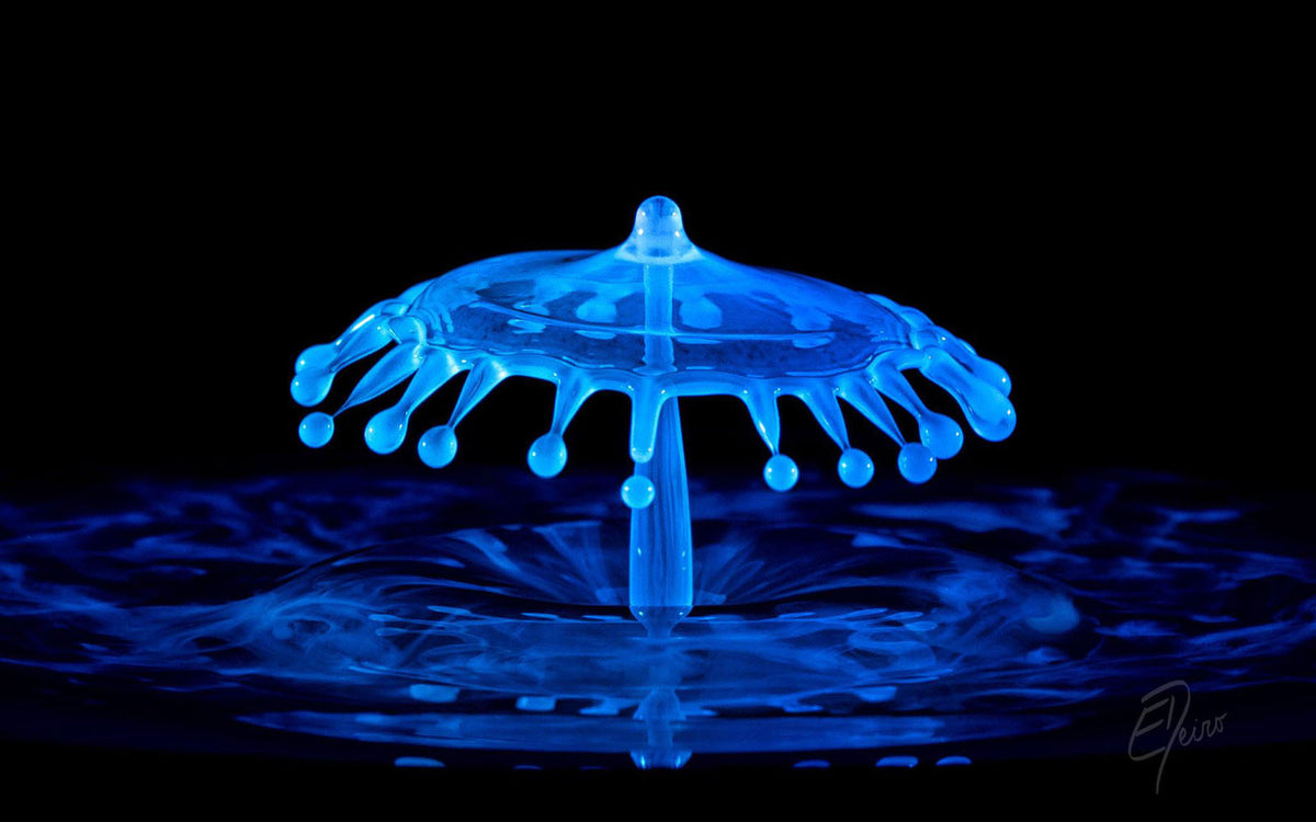 Pluto Trigger - Water Drop Photography